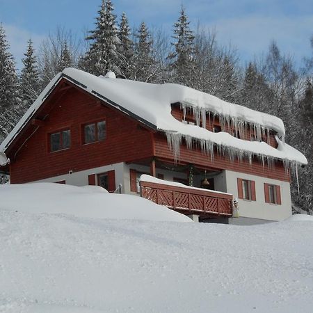 Vila Kamila Janské Lázně Habitación foto