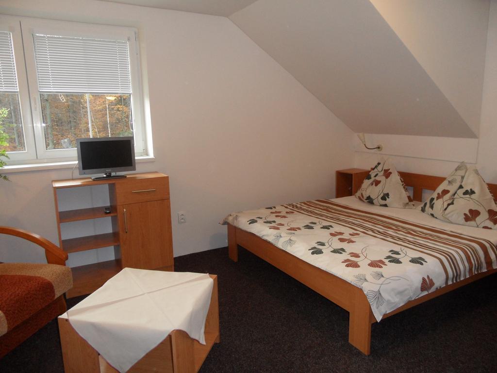 Vila Kamila Janské Lázně Habitación foto